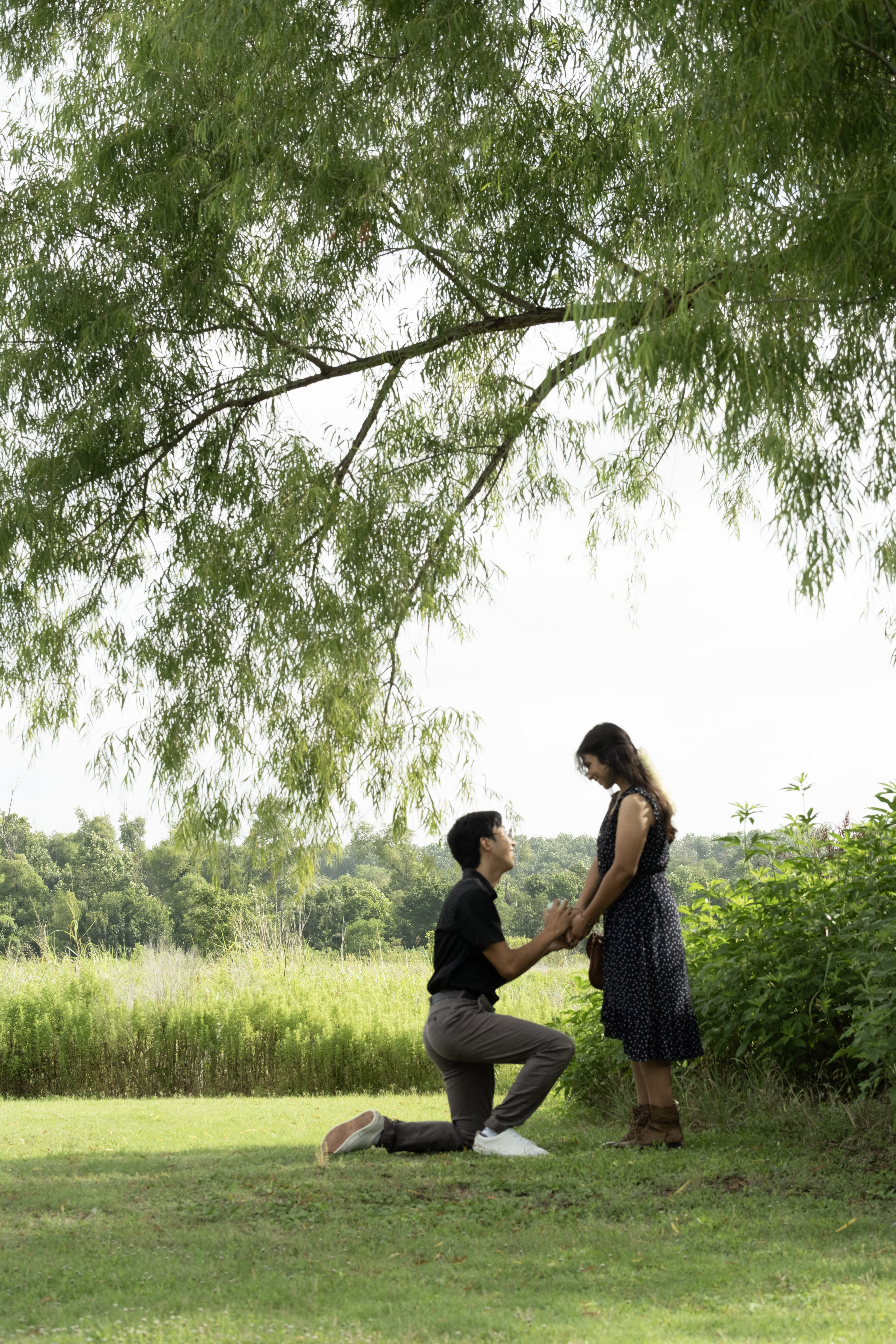 The Proposal