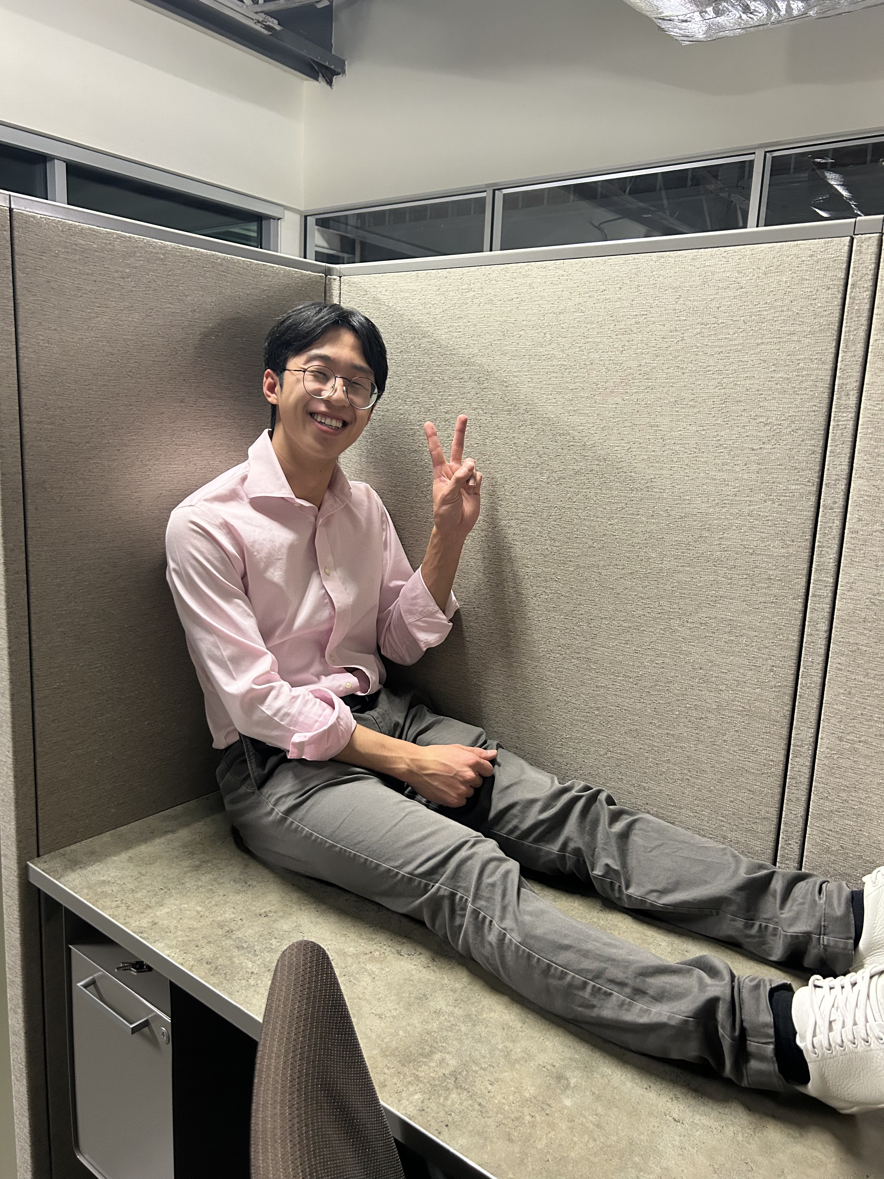 The Pink Shirt